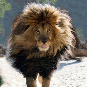 Meet your Posher, Robotic